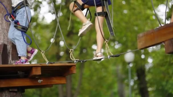 Kinder klettern auf Seilbahn im Wald-Freizeitpark — Stockvideo