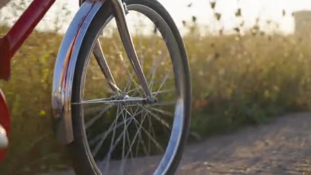 Ruota di bicicletta a cavallo in campagna — Video Stock