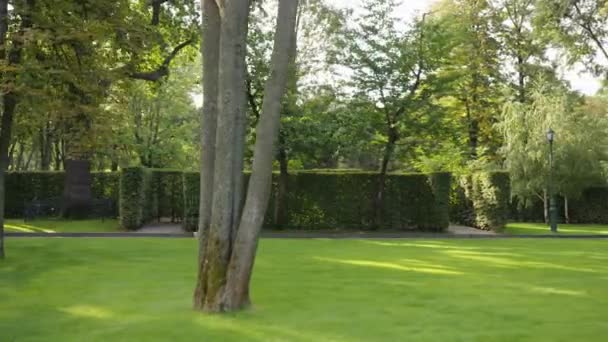 Deportiva mujer corriendo contra laberinto de jardín — Vídeos de Stock