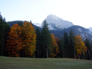 autumn landscape of the alps and mountains