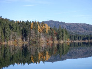 Ormanda sonbahar gölü yansıması, sonbahar ağaçları, doğa