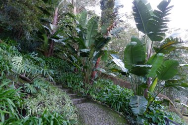 Şehrin güzel manzarası