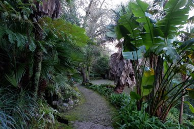 Yeni denizin adasının güzel manzarası.