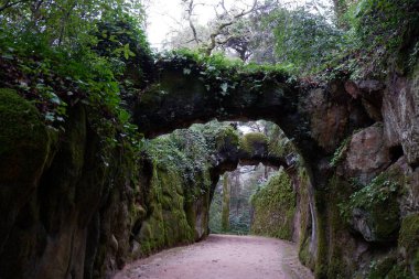 Parktaki bir patikanın görüntüsü