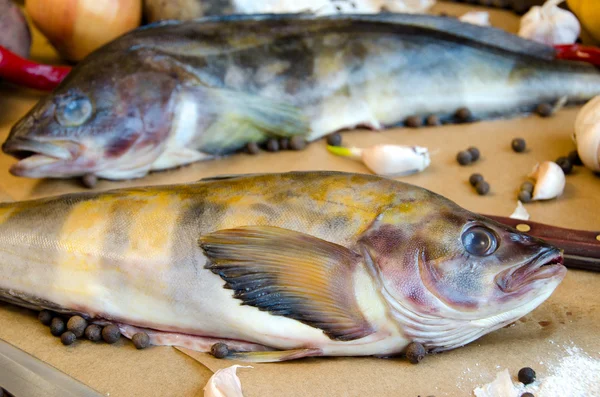 Grinling fish with vegetables — Stock Photo, Image