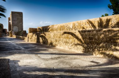 Gölgeler ve palmiye ağaçlarının duvar kale Santa Barbara Alicante, İspanya