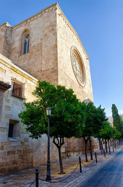 Rosone e torre della Cattedrale di Tarragona, Spagna — Foto Stock