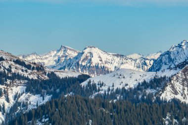 İsviçre ve Avusturya arasındaki karlı dağların panorama manzarası. Avusturya Alpleri 'nin ön planında çayırlar, ormanlar, ormanlar ve arka plandaki dağ sıraları zirveleri, yürüyüş alanı