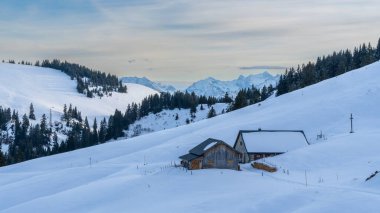 İsviçre ve Avusturya arasındaki karlı dağların panorama manzarası. Avusturya Alplerinde çayırları ve kulübeleriyle ormanın ortasında ve arka plandaki dağ sıralarının zirvelerinde, tatil alanlarında yürüyüş yaparken.