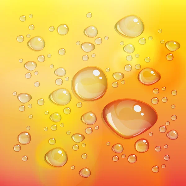 Transparent water drops — Stock Vector