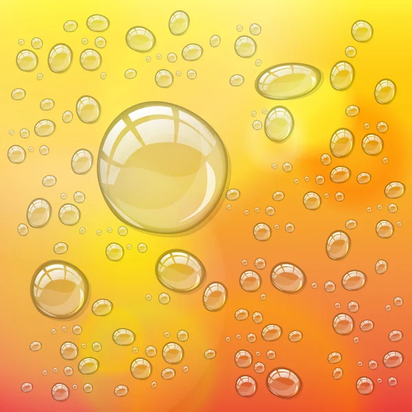 Transparent water drops — Stock Vector