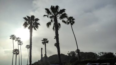 Güney Kaliforniya sahilleri San Diego 'nun kuzeyinde. Sahil şeridi günbatımı, okyanus dalgaları, sörfçüler, gelgit havuzları, palmiye ağaçları ve Kaliforniya Encinitas 'taki Moonlight Sahili' ndeki kaya soyutlamaları..