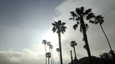 Güney Kaliforniya sahilleri San Diego 'nun kuzeyinde. Sahil şeridi günbatımı, okyanus dalgaları, sörfçüler, gelgit havuzları, palmiye ağaçları ve Kaliforniya Encinitas 'taki Moonlight Sahili' ndeki kaya soyutlamaları..