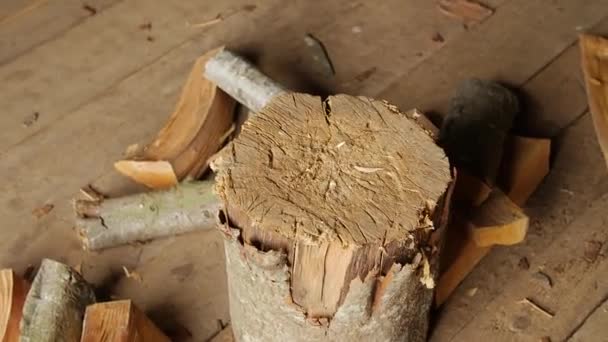 Σκουριασμένο ax σε ένα κούτσουρο. — Αρχείο Βίντεο