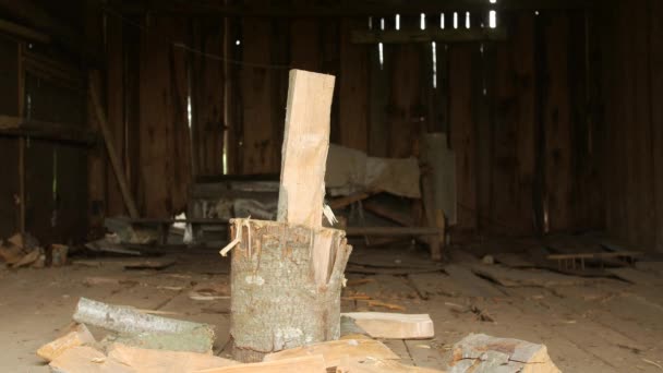 Mans main avec une hache de coupe de bois . — Video