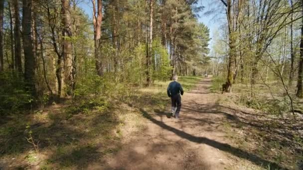 Ηλικιωμένος Άνδρας Τρέχει Στο Δάσος Πίσω Όψη Αργή Κίνηση — Αρχείο Βίντεο