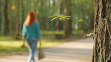 Park bokeh, Bahar ve yaz sezonu ile insan faaliyetlerinin arka plan bulanık
