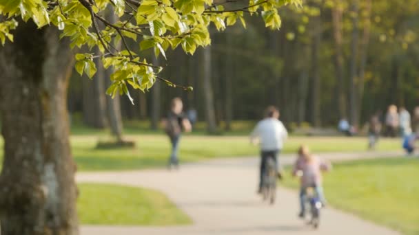 Verschwommener Hintergrund der Menschen Aktivitäten im Park mit Bokeh, Frühling und Sommer — Stockvideo