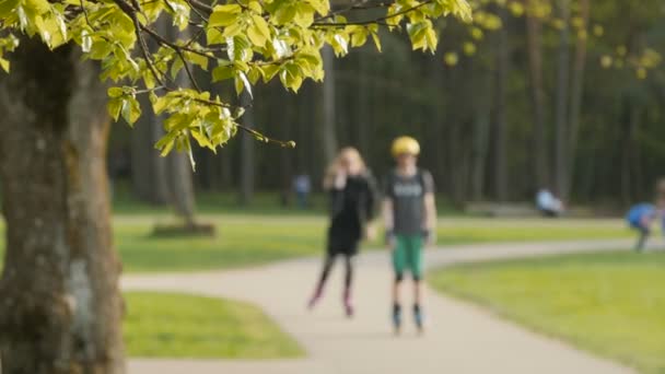 Niewyraźne tło działalności ludzi w parku z bokeh, wiosenno -letnim sezonie — Wideo stockowe