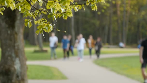 Onscherpe achtergrond van mensen activiteiten in park met bokeh, lente en zomer seizoen — Stockvideo