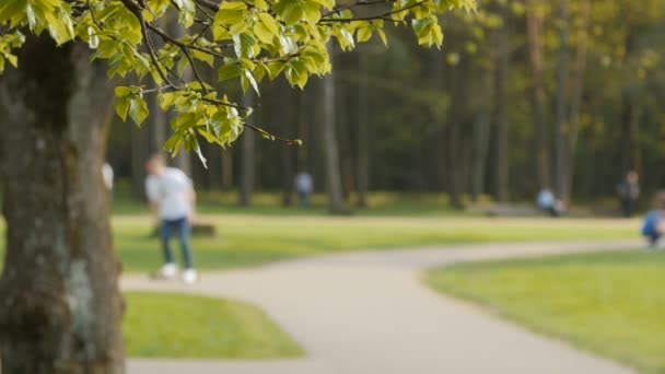 İnsan faaliyetleri Park arka plan bulanık. — Stok video