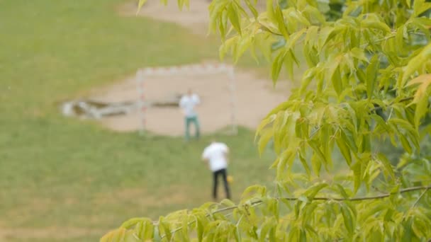 Famiglia che gioca a calcio nel parco . — Video Stock