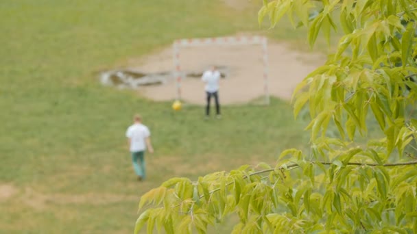 Familj spelar fotboll i parken. — Stockvideo