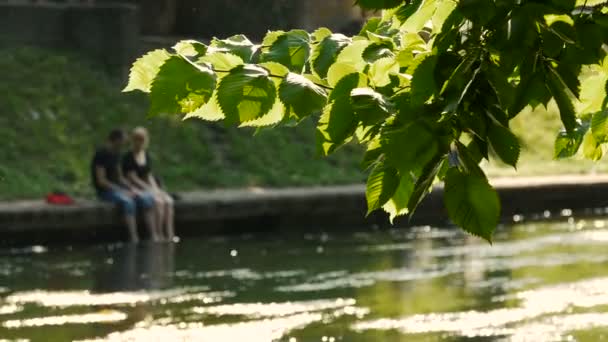 Koppel in het park in Blur stijl — Stockvideo