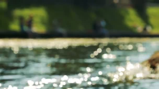 Sonnenreflexion auf einer Wasseroberfläche — Stockvideo