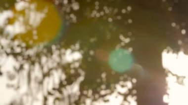 Arka plan bulanıklık doğal güneş ışığı bokeh arka ağaç.