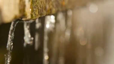 Damlama su, güneş ışığı altında Close-Up.