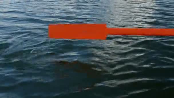 Old wooden paddle bounces into lake water. — Stock Video