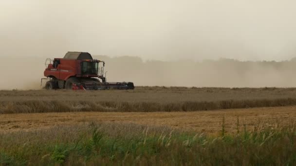 2016 21 augustus, Litouwen, Ukmerges regio. Harvester machine voor het oogsten van tarwe veld werken. Landbouw — Stockvideo