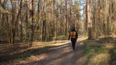 Turuncu sırt çantalı ve siyah elbiseli bir adam bahar ormanında bir patika boyunca yürüyor. Arkadan vurun. Açık hava yaşam tarzı.