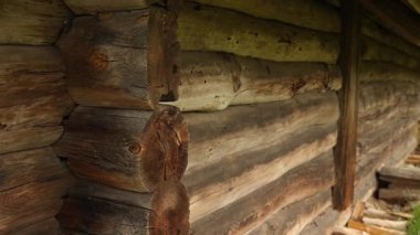 Eski ahşap kulübe kütüklerine yakın çekim. Kamera aşağı eğiliyor..