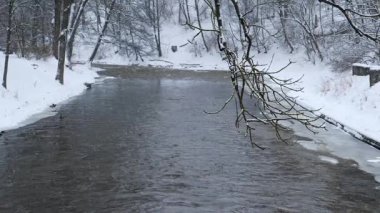 Ağaçlarla çevrili akan bir nehri olan karlı bir arazi..