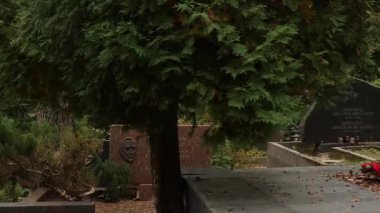 Vilnius, Litvanya - 12 Ekim 2023: Huzurlu bir Antakalnis mezarlığında huzurlu bir yürüyüş.