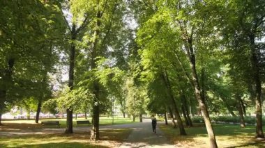 Yazın parkta yürüyen bir kadının yavaş çekim görüntüsü..