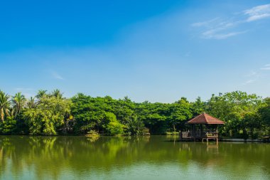 Güneş gün parkta.