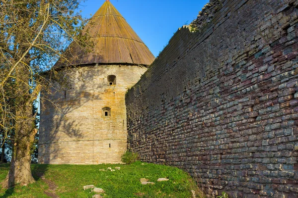 Kale Oreshek kulesi. Shlisselburg. Rusya.