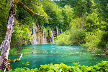 Plitvice Gölleri şelaleler. Hırvatistan