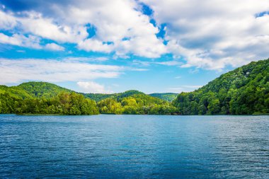 Yaz manzara. Plitvice Gölleri. Milli park. Hırvatistan.