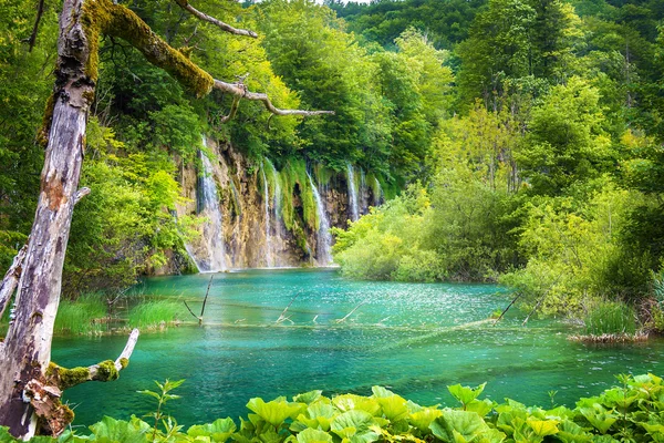 Vízesések a Plitvicei-tavak. Horvátország — Stock Fotó