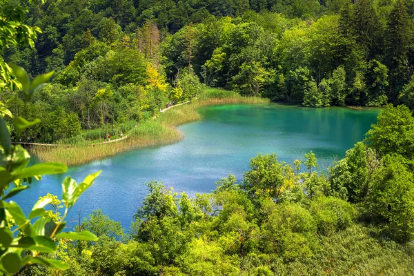 Parque nacional Os lagos de Plitvice na Croácia. Veiw de cima . — Fotografia de Stock