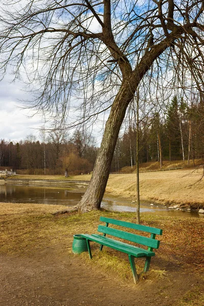 Pavlovsk Park adlı bir Bank. Bir bahar günü. Saint Petersburg