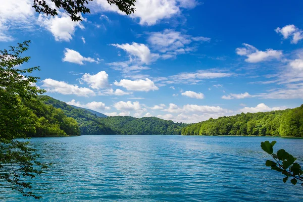 Nyári táj. Plitvicei-tavak. Nemzeti park. Horvátország. — Stock Fotó