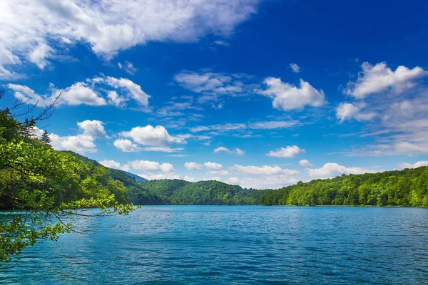 Yaz manzara. Plitvice Gölleri. Milli park. Hırvatistan.