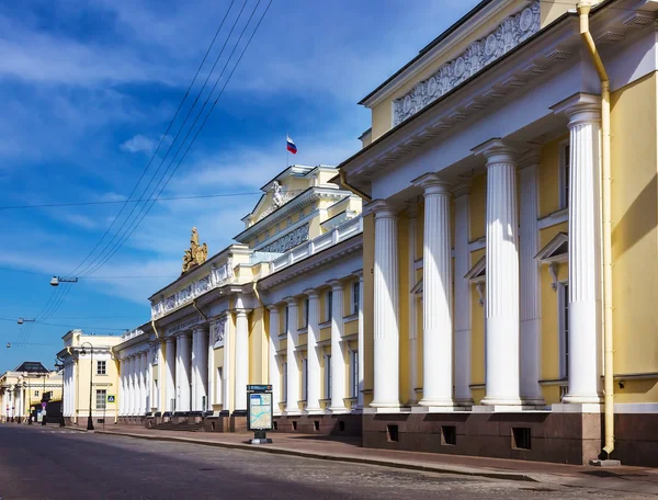 Rus Müzesi. Mikhailovsky Sarayı. Saint Petersburg. Russi