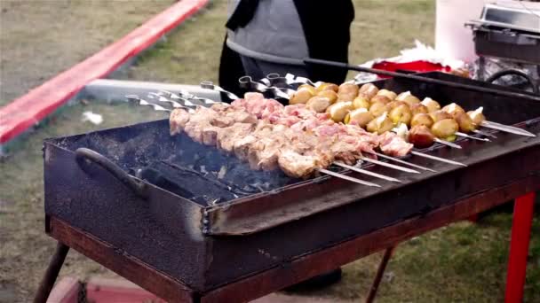 공원에서 가족 바베 큐 파티 숯불, 주말 휴일에 굽고 고기를 아버지 — 비디오