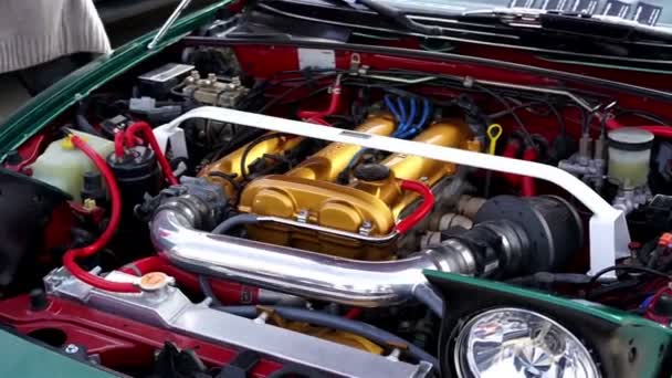 Motor en andere onderdelen onder motorkap van vintage sportwagen, mechanica, onderhoud — Stockvideo